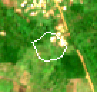 Cloud-free median of 1 Sentinel-2 acquisition from the period around 31 December 2020 — the state the law measures against.